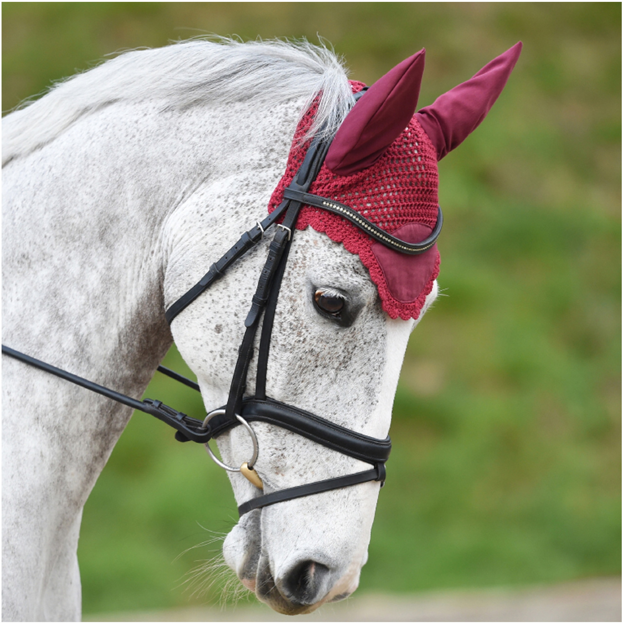 Weatherbeeta Prime Ear Bonnet - Maroon